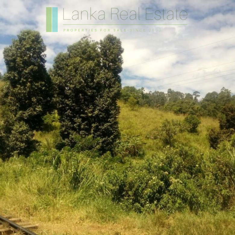 Superb ten acres in Ella with luxury resort concept plans