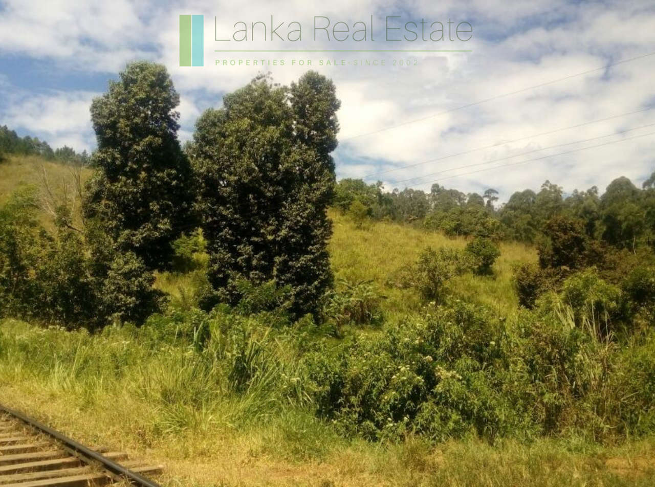 Superb ten acres in Ella with luxury resort concept plans