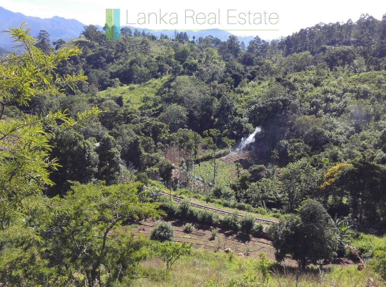Superb ten acres in Ella with luxury resort concept plans