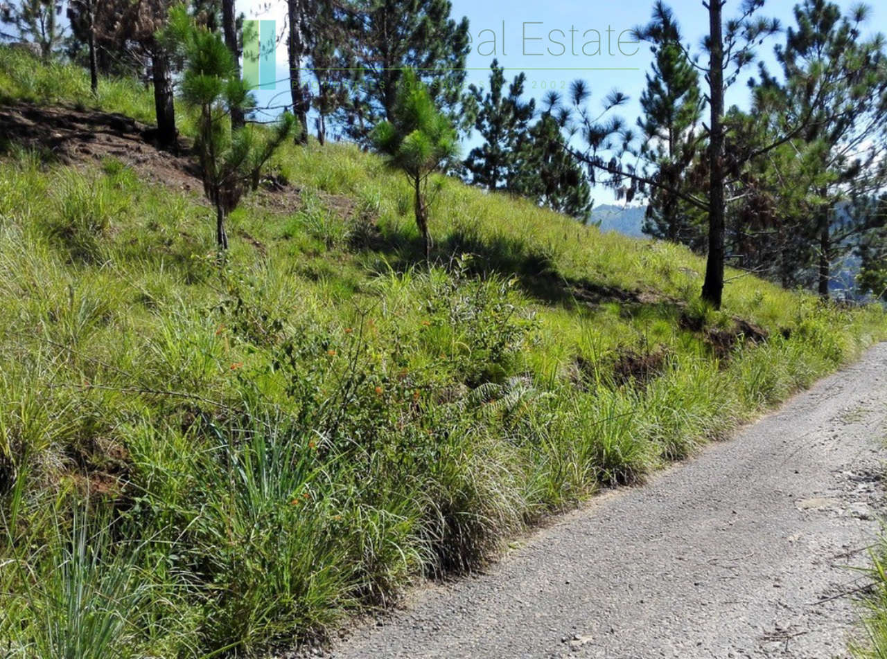 Superb ten acres in Ella with luxury resort concept plans