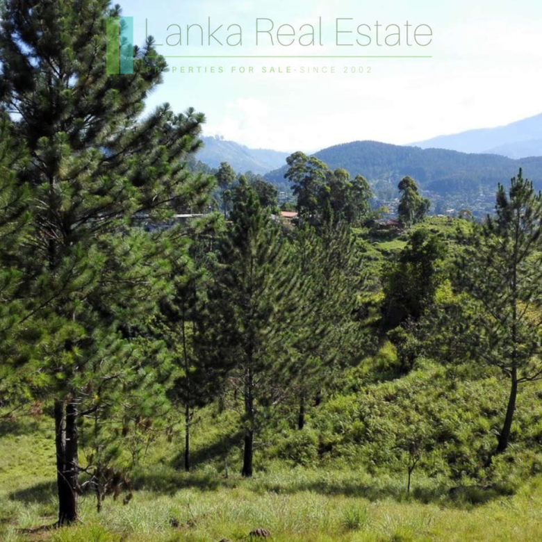 Superb ten acres in Ella with luxury resort concept plans