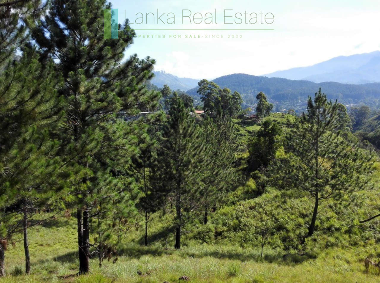 Superb ten acres in Ella with luxury resort concept plans