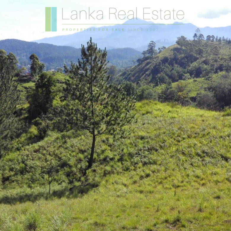 Superb ten acres in Ella with luxury resort concept plans