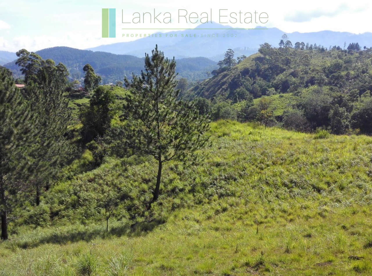 Superb ten acres in Ella with luxury resort concept plans