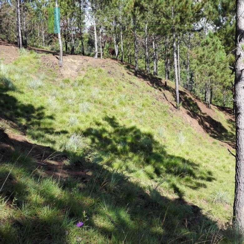 Superb ten acres in Ella with luxury resort concept plans