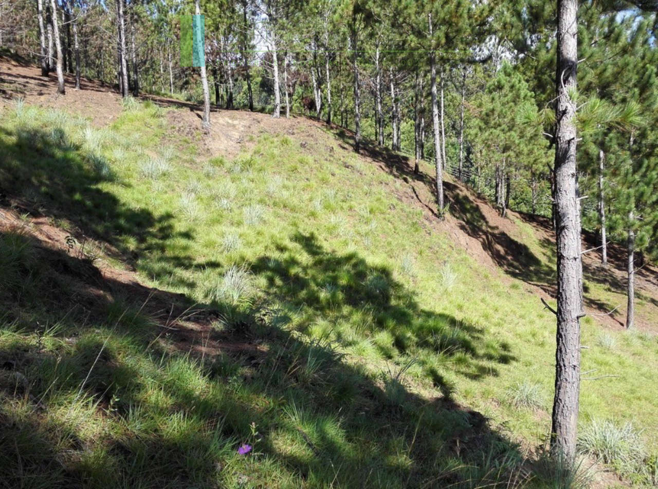 Superb ten acres in Ella with luxury resort concept plans