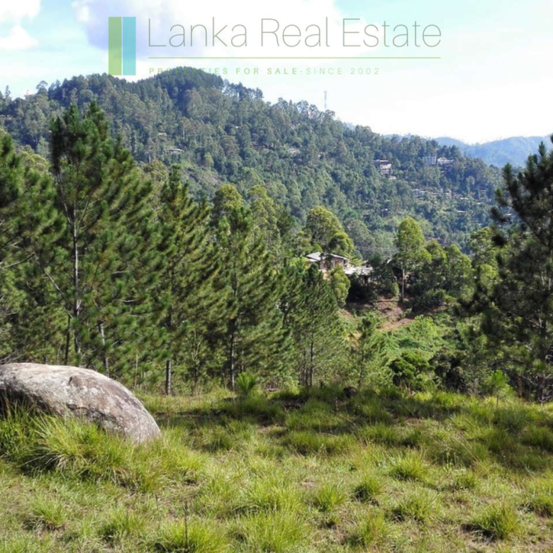 Superb ten acres in Ella with luxury resort concept plans