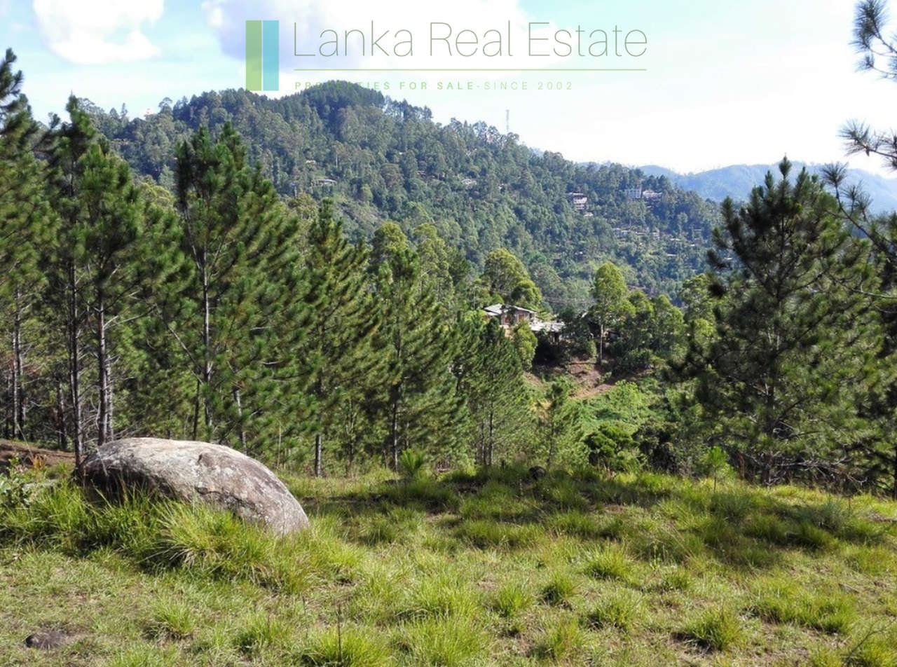 Superb ten acres in Ella with luxury resort concept plans