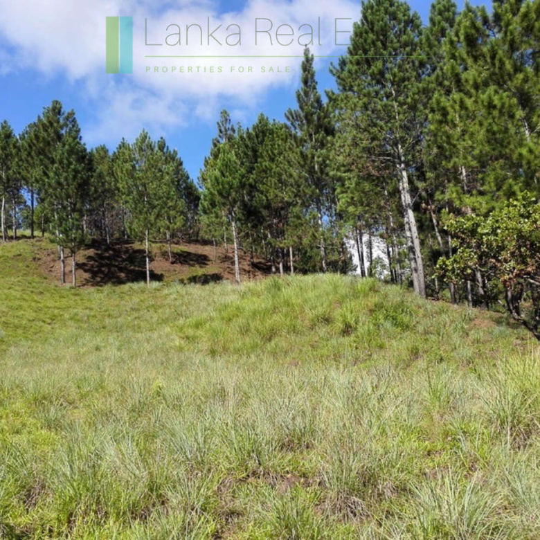 Superb ten acres in Ella with luxury resort concept plans