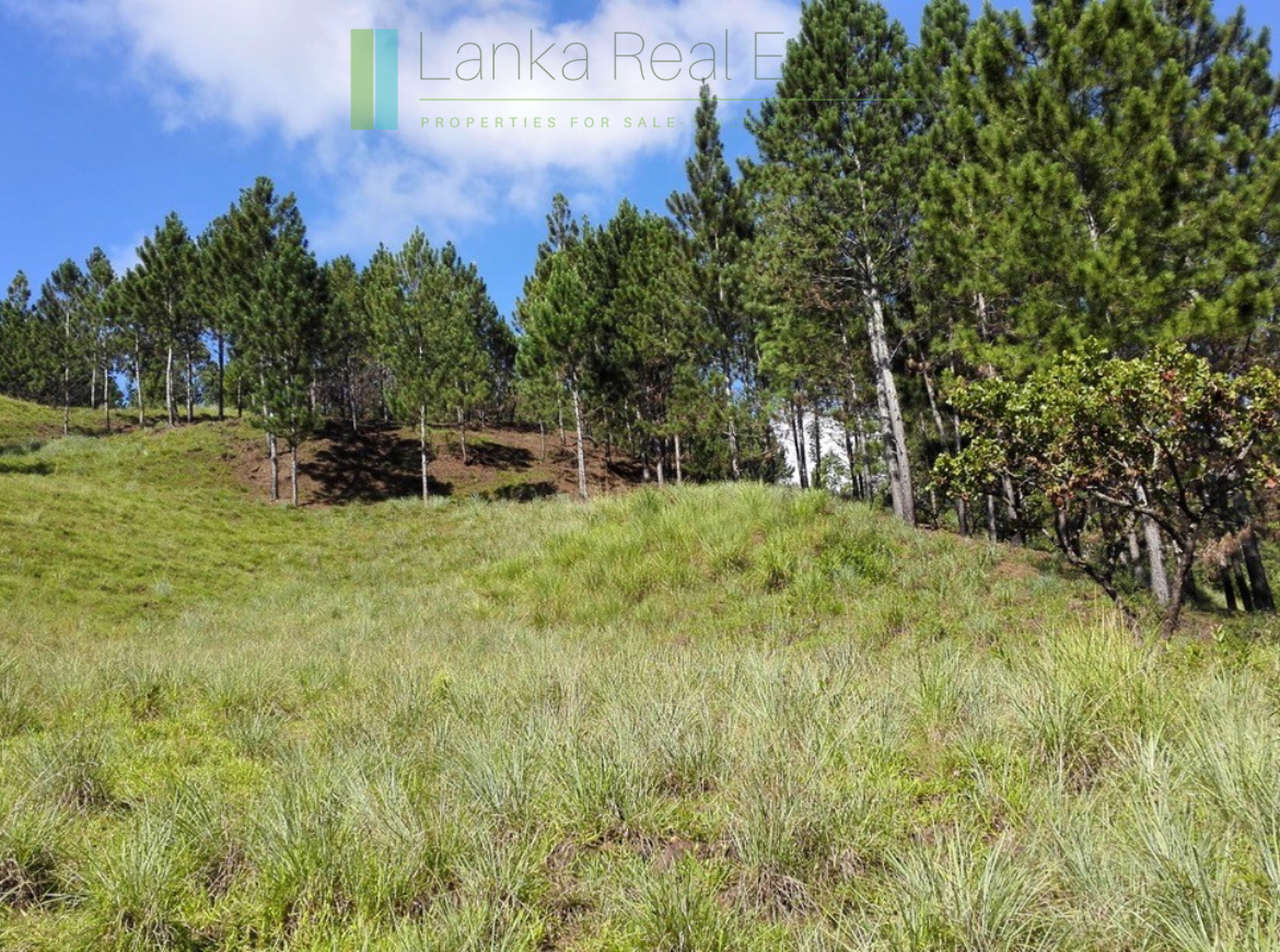 Superb ten acres in Ella with luxury resort concept plans