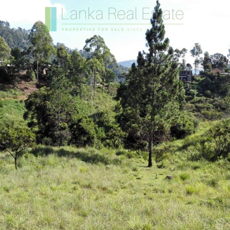 Superb ten acres in Ella with luxury resort concept plans