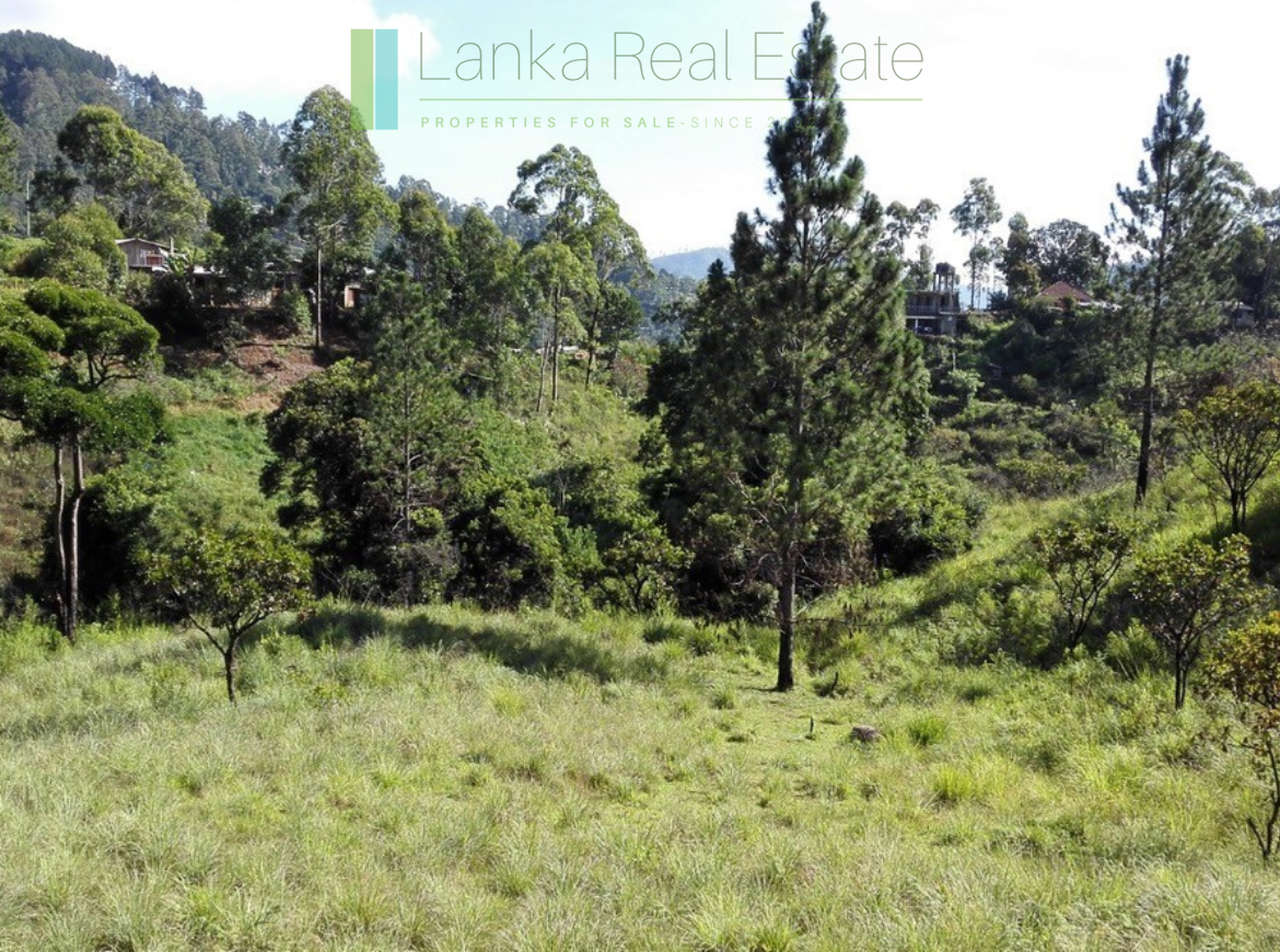 Superb ten acres in Ella with luxury resort concept plans