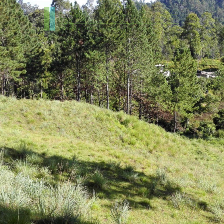 Superb ten acres in Ella with luxury resort concept plans