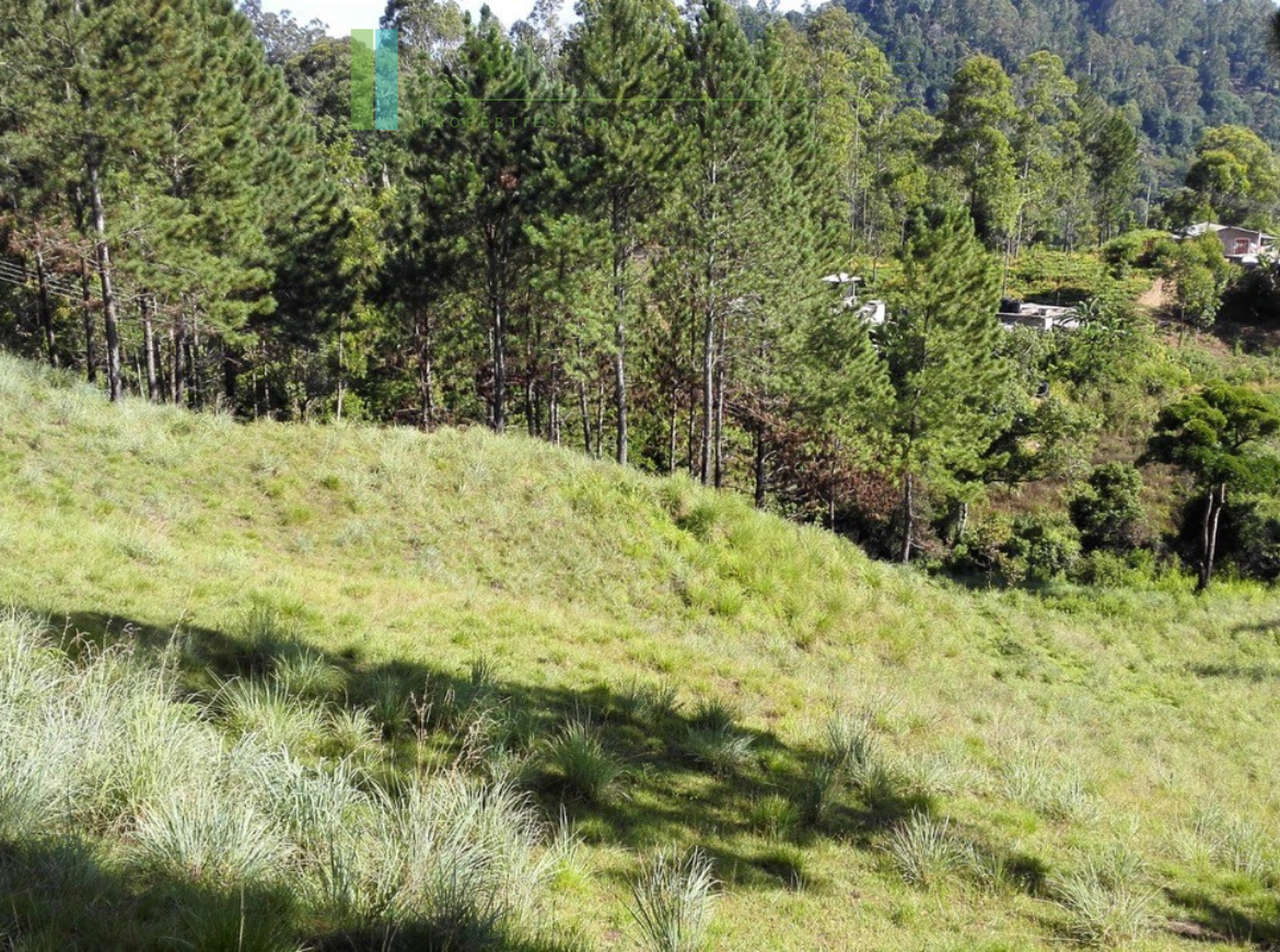 Superb ten acres in Ella with luxury resort concept plans