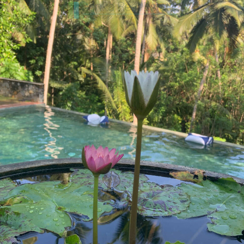 Sri Mathie