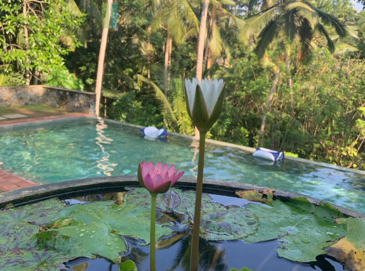 Sri Mathie