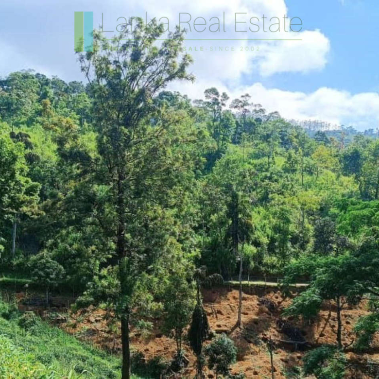 Four acres near Kandy with mountain lake views