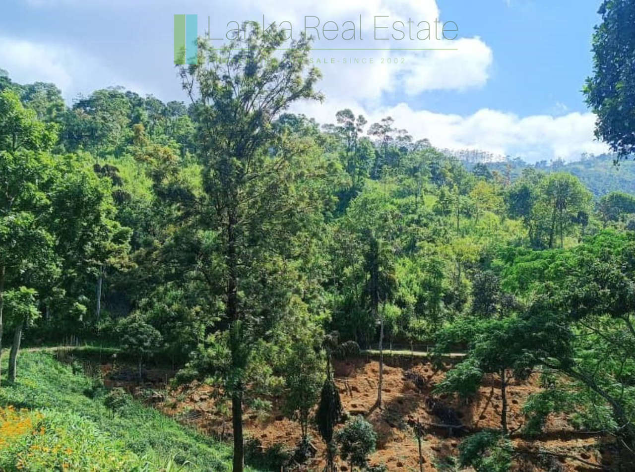 Four acres near Kandy with mountain lake views