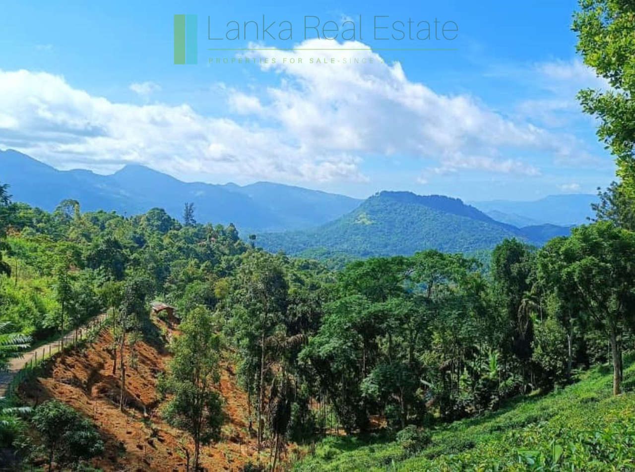 Four acres near Kandy with mountain lake views