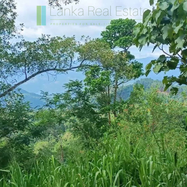 Four acres near Kandy with mountain lake views