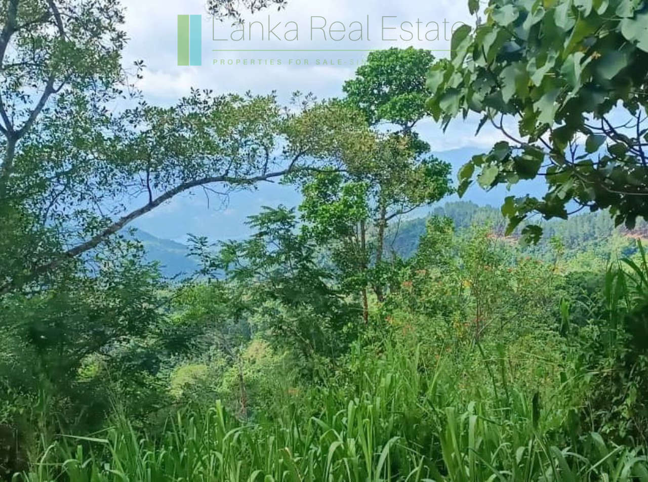 Four acres near Kandy with mountain lake views