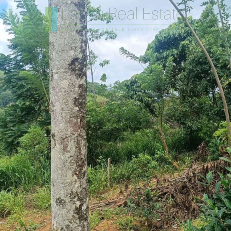 Four acres near Kandy with mountain lake views