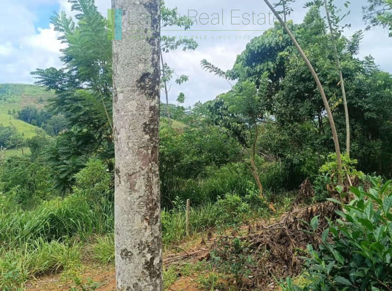 Four acres near Kandy with mountain lake views