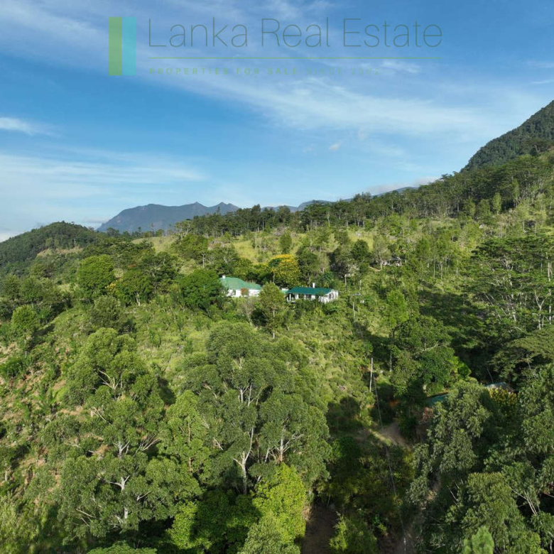 Heritage holiday bungalow on large estate
