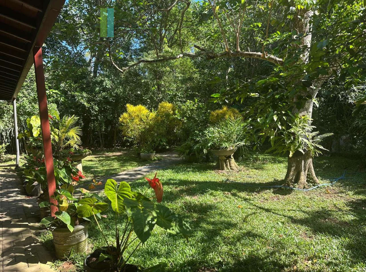 Turnkey tropical paradise near Tangalle