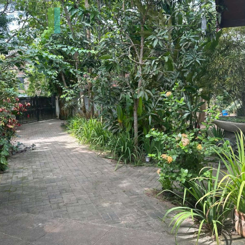 Turnkey tropical paradise near Tangalle