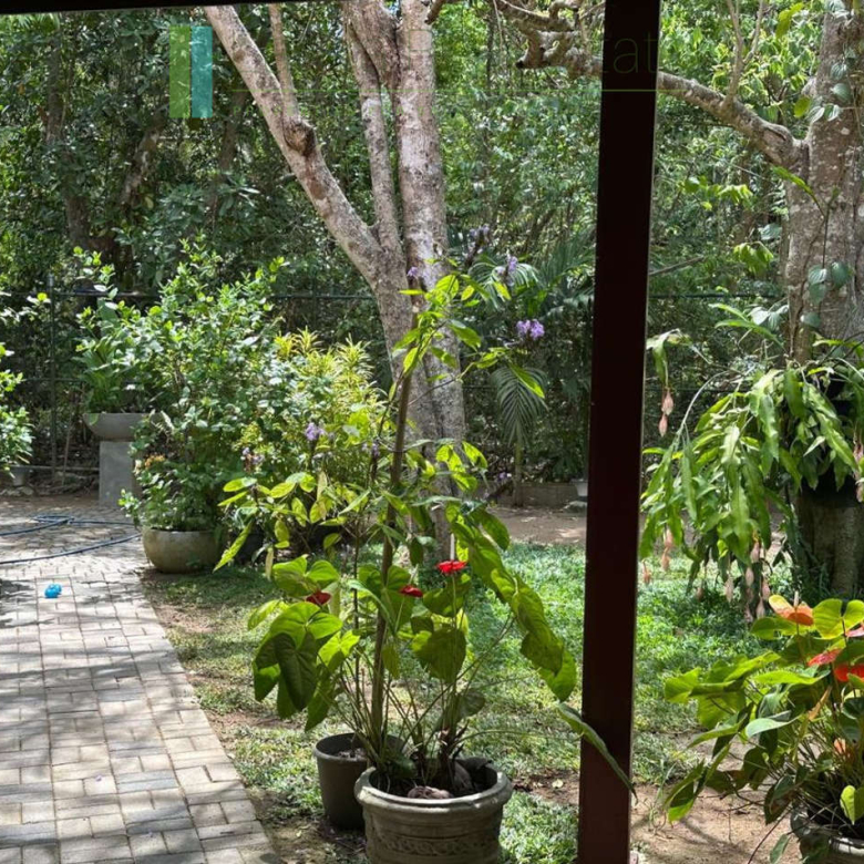 Turnkey tropical paradise near Tangalle
