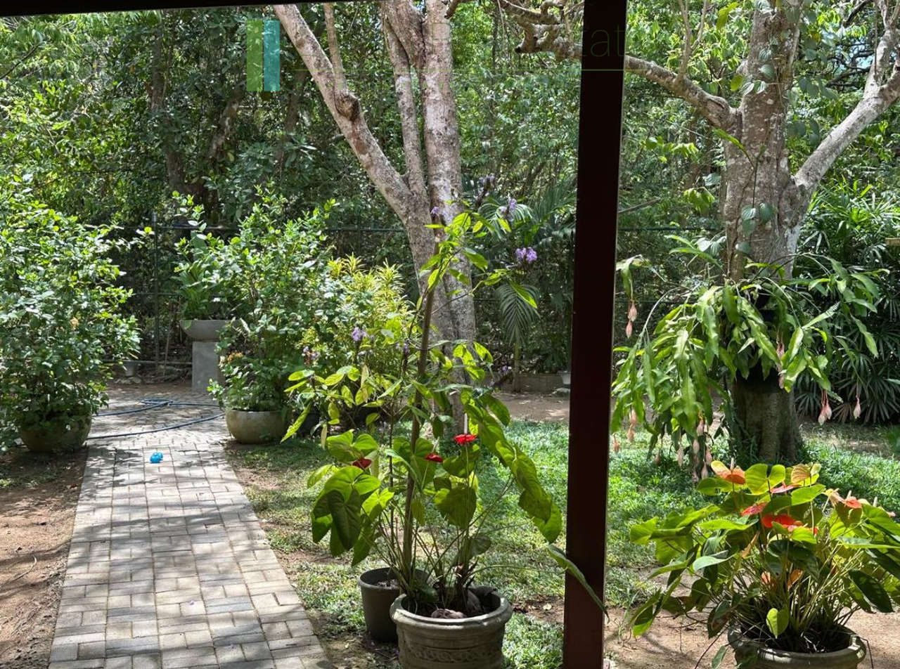 Turnkey tropical paradise near Tangalle