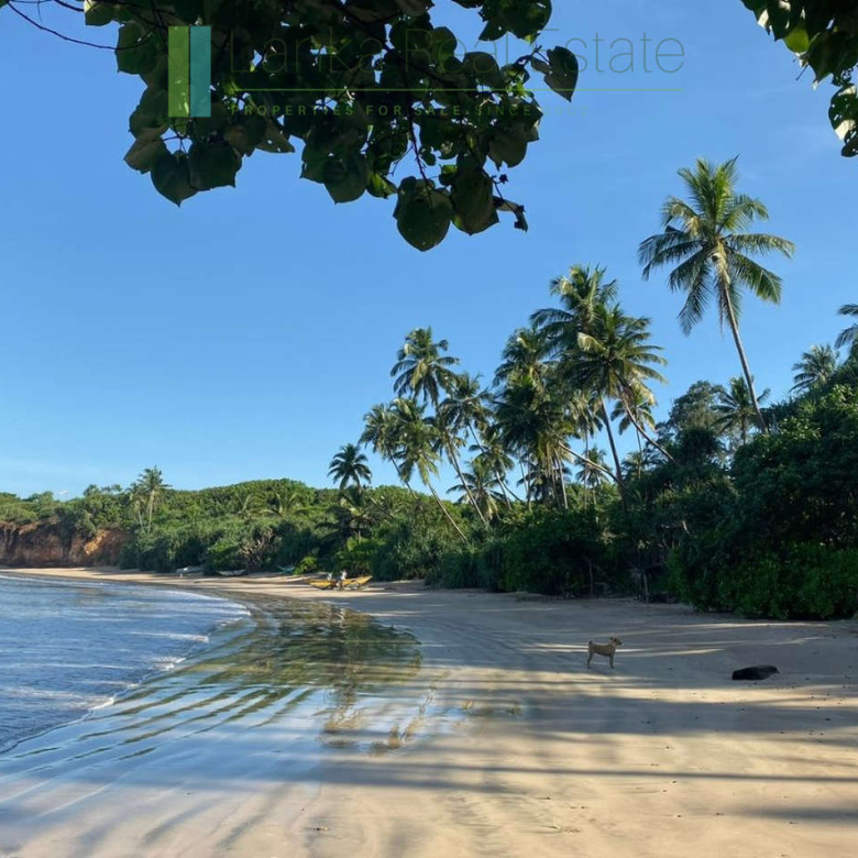 Premier Mirissa beachfront opportunity