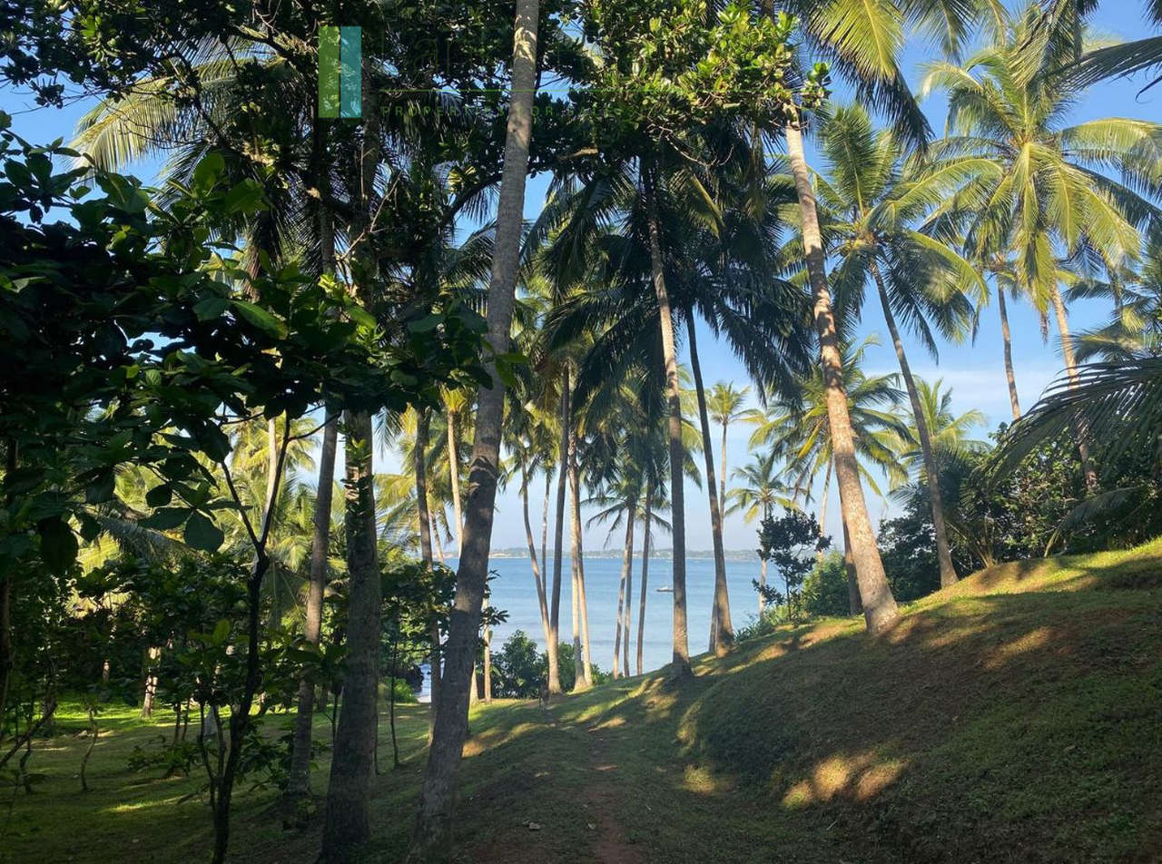 Premier Mirissa beachfront opportunity
