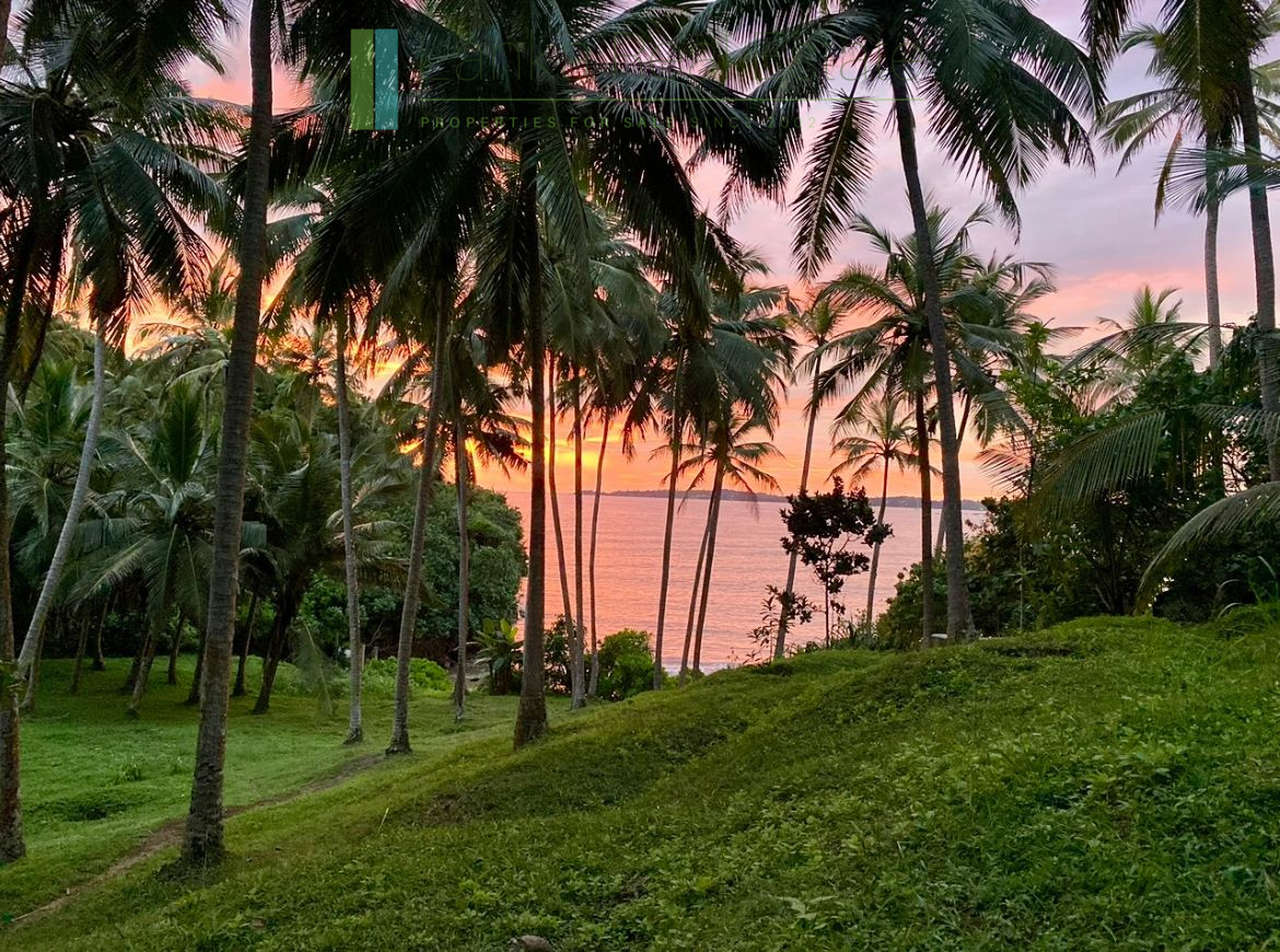 Premier Mirissa beachfront opportunity