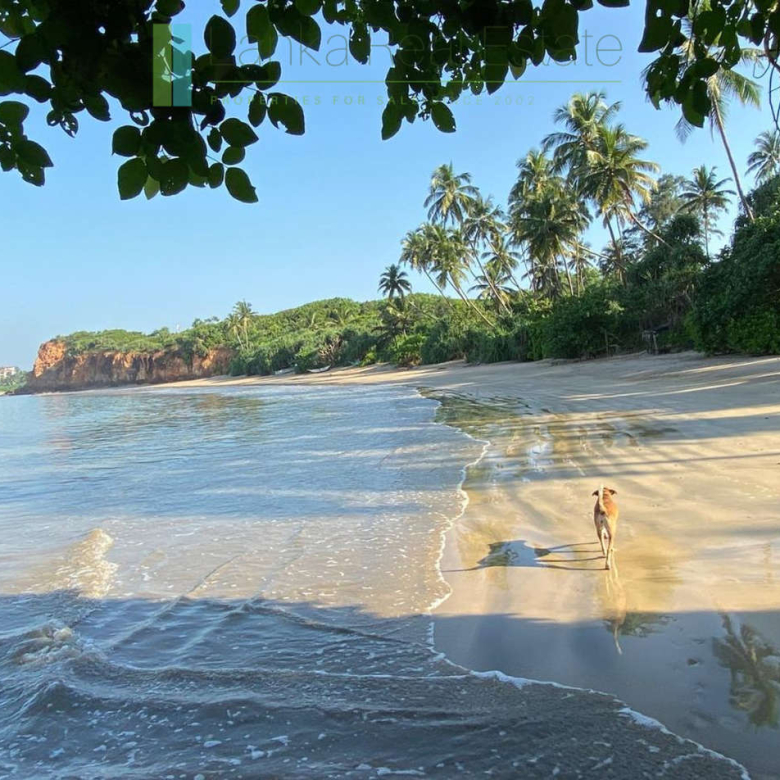 Premier Mirissa beachfront opportunity