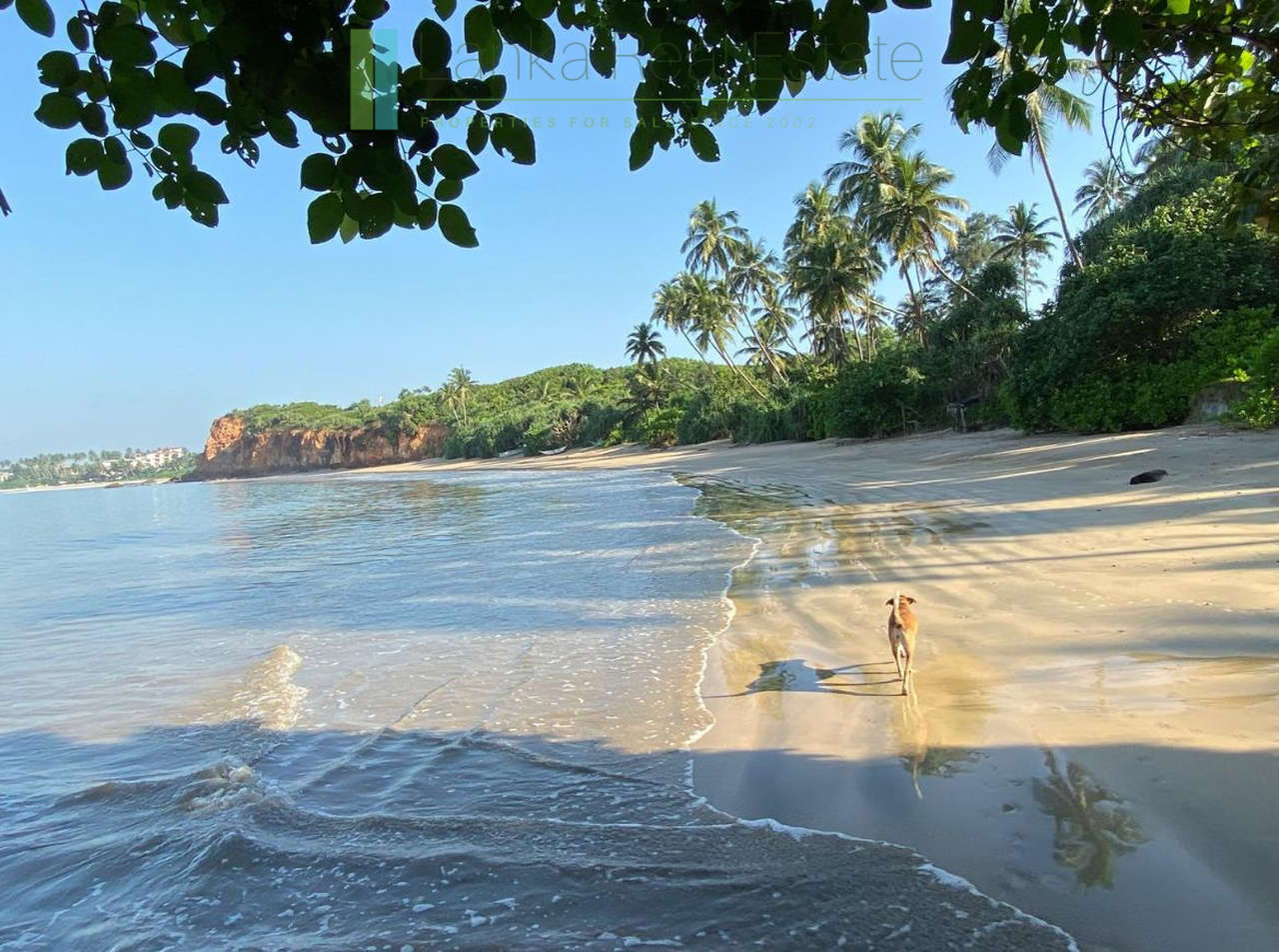 Premier Mirissa beachfront opportunity
