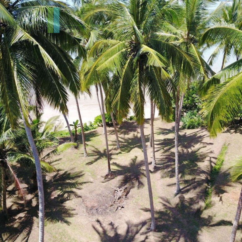 Premier Mirissa beachfront opportunity