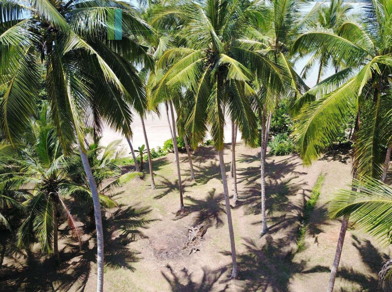 Premier Mirissa beachfront opportunity