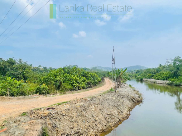 Elevated land overlooking own paddy fields