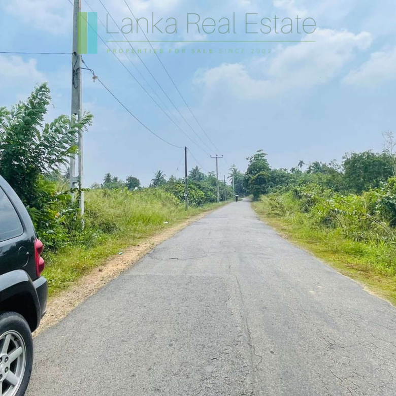 Elevated land overlooking own paddy fields
