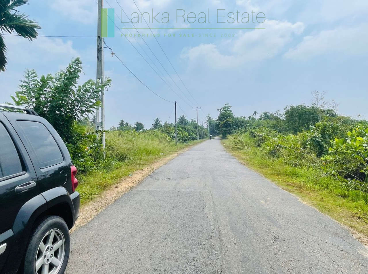 Elevated land overlooking own paddy fields