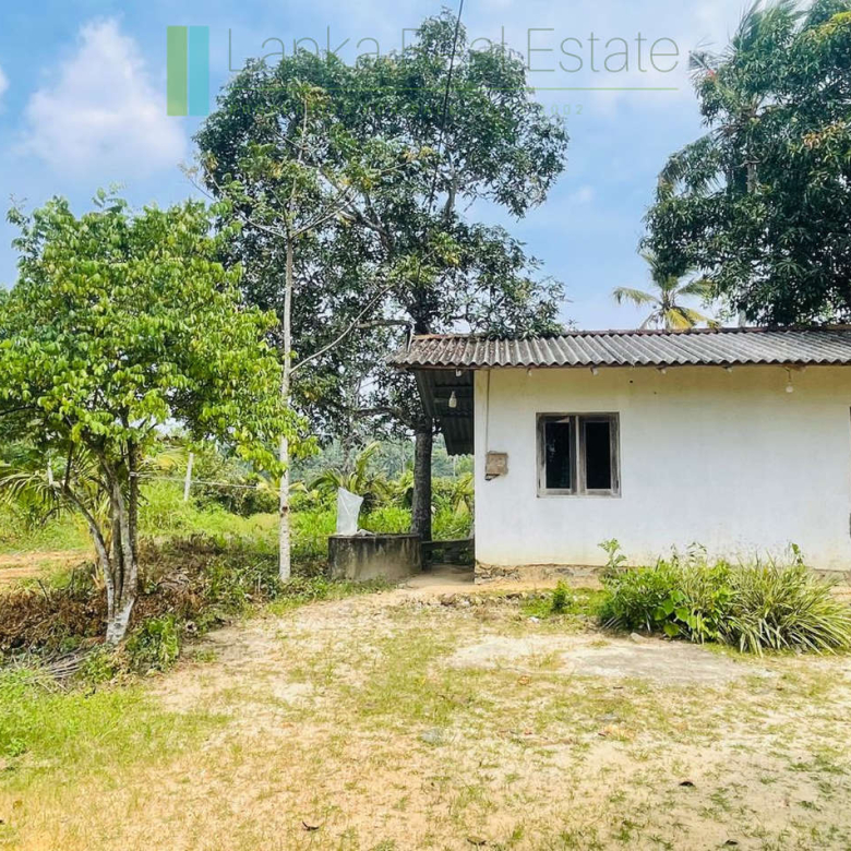 Elevated land overlooking own paddy fields