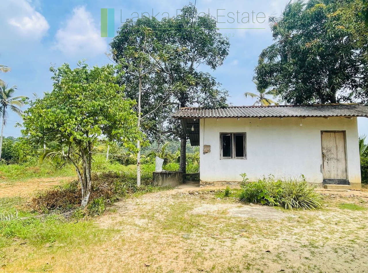 Elevated land overlooking own paddy fields