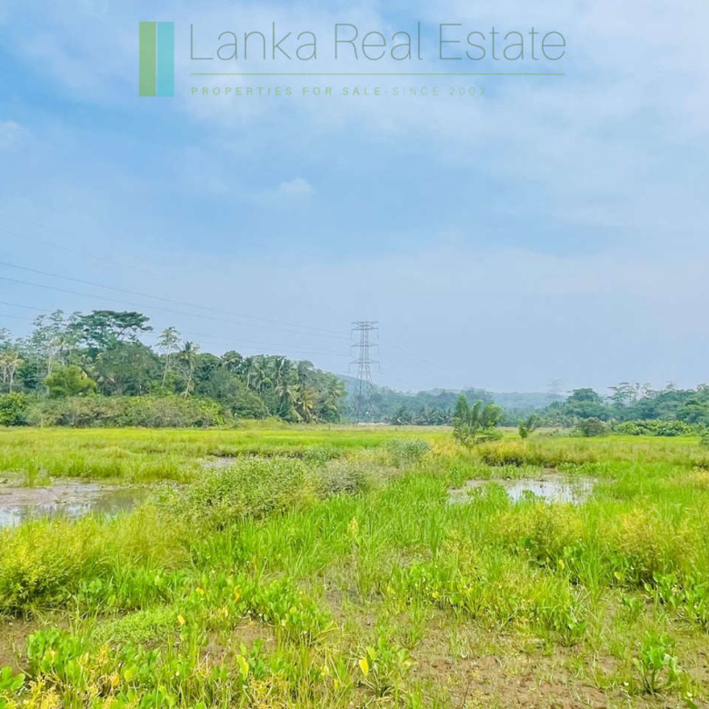 Elevated land overlooking own paddy fields