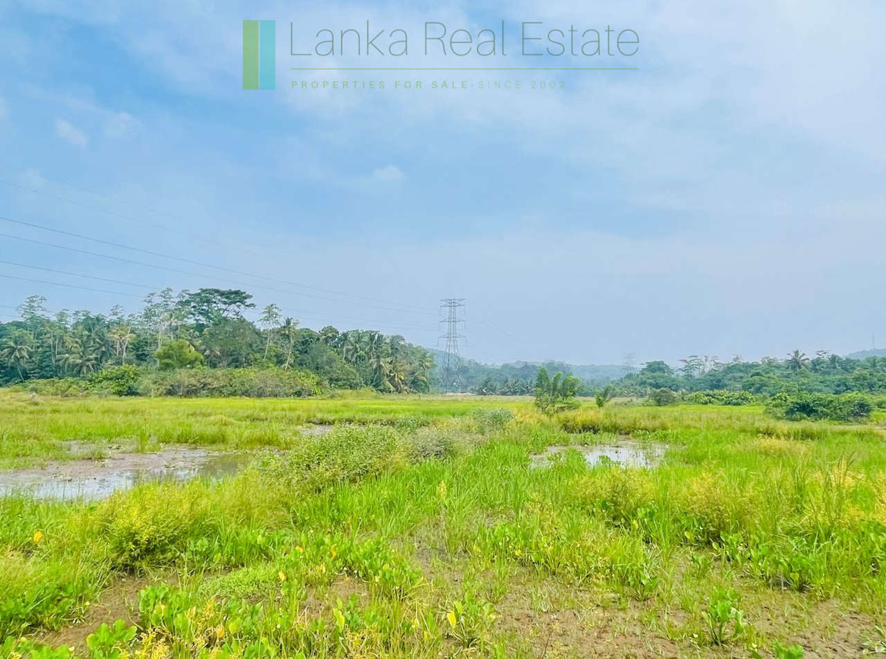 Elevated land overlooking own paddy fields