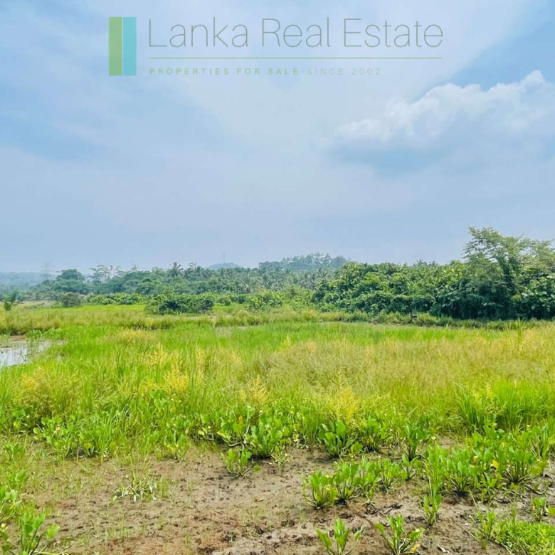 Elevated land overlooking own paddy fields