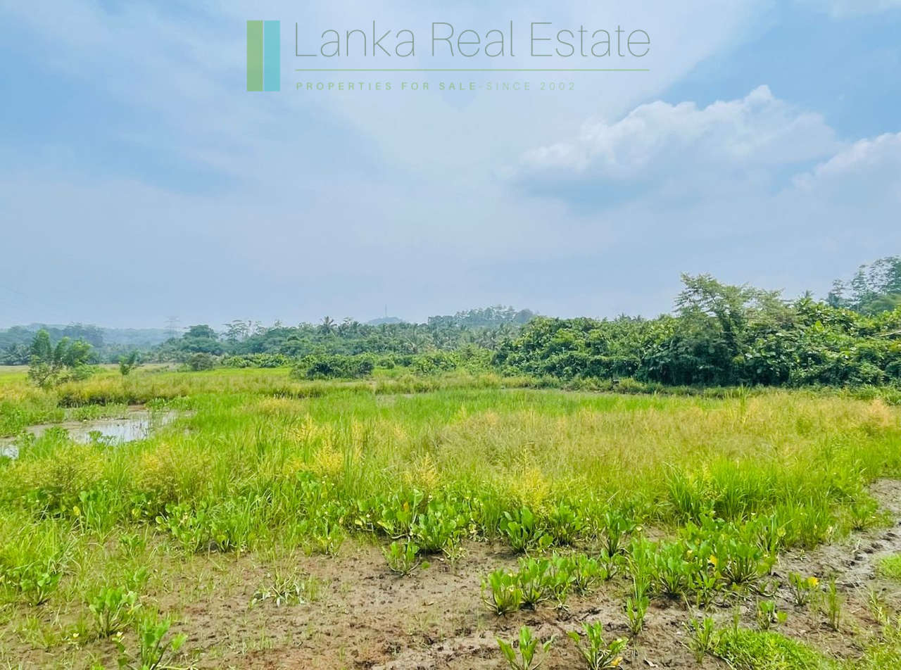 Elevated land overlooking own paddy fields