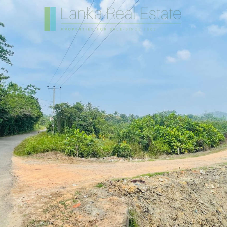 Elevated land overlooking own paddy fields