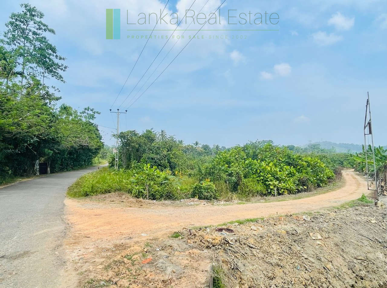 Elevated land overlooking own paddy fields